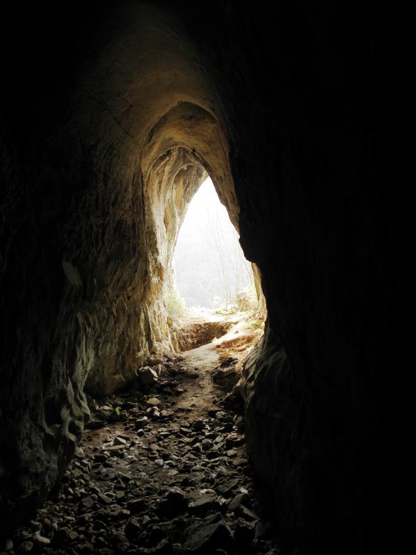In the cave
