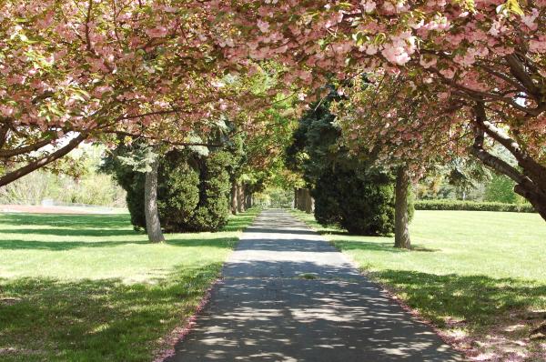 In the park
