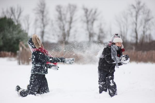 In The Snow