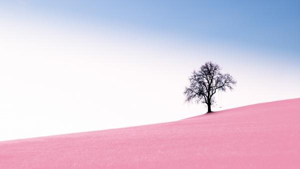 In your imagination.