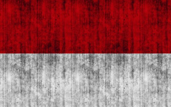 Indonesia Grunge Flag