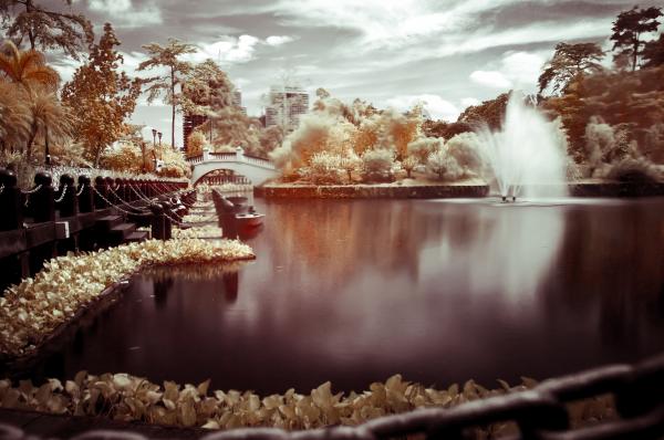 Infrared lake
