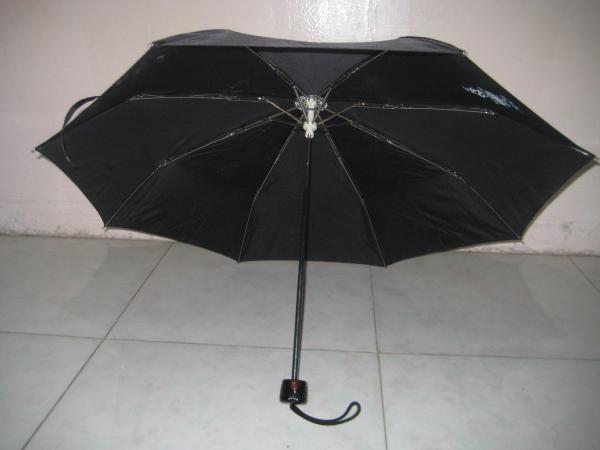 Inside An umbrella