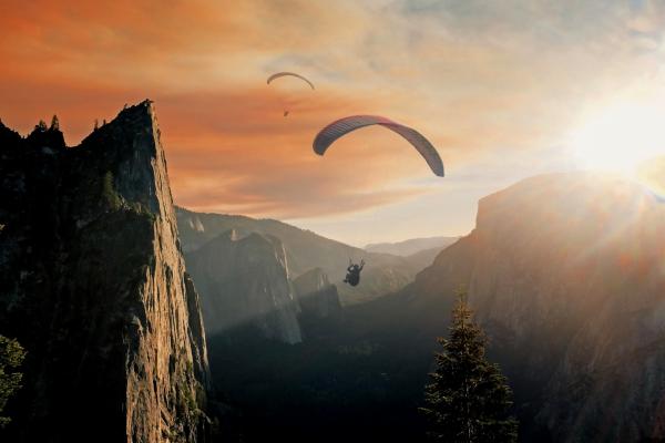 Into the air