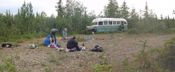 Into the Wild