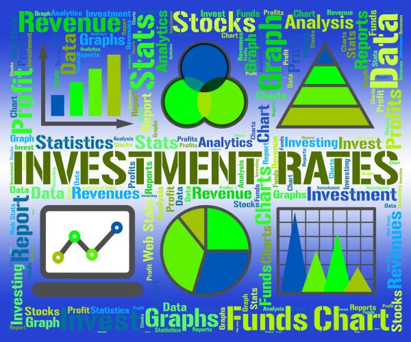 Investment Rates Represents Invested Percent And Percentage