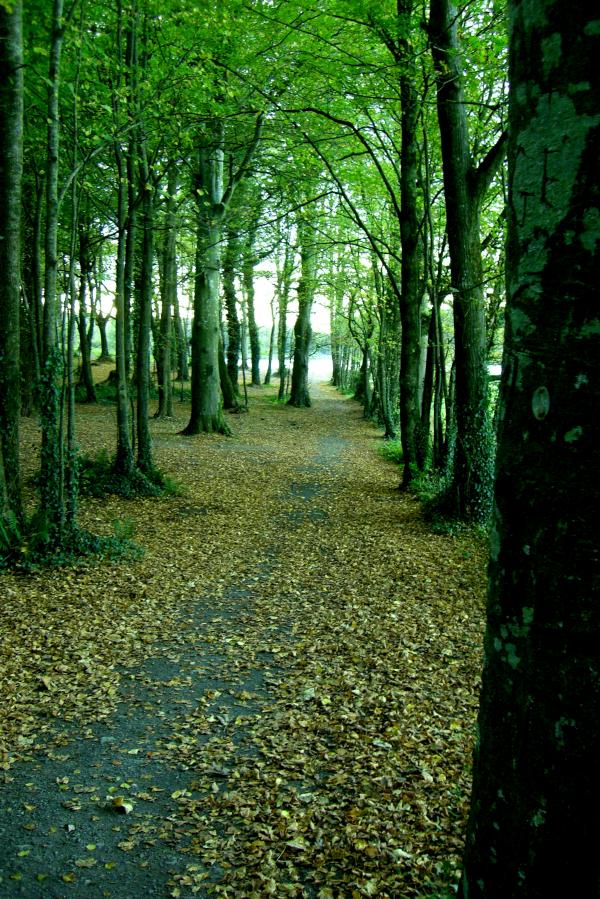 Ireland