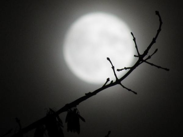 Irrumpira La Luz