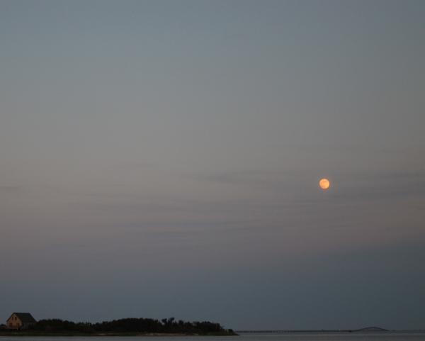 Island