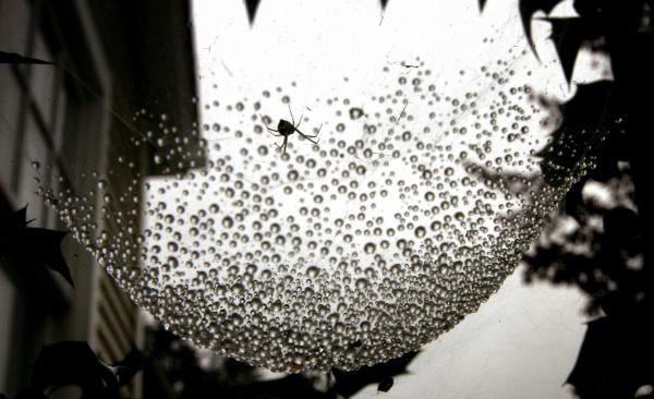 It's raining