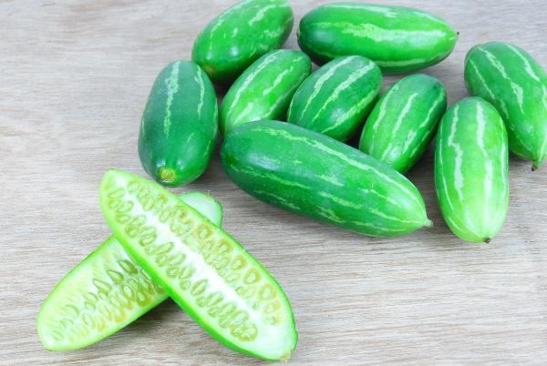 Ivy Gourd