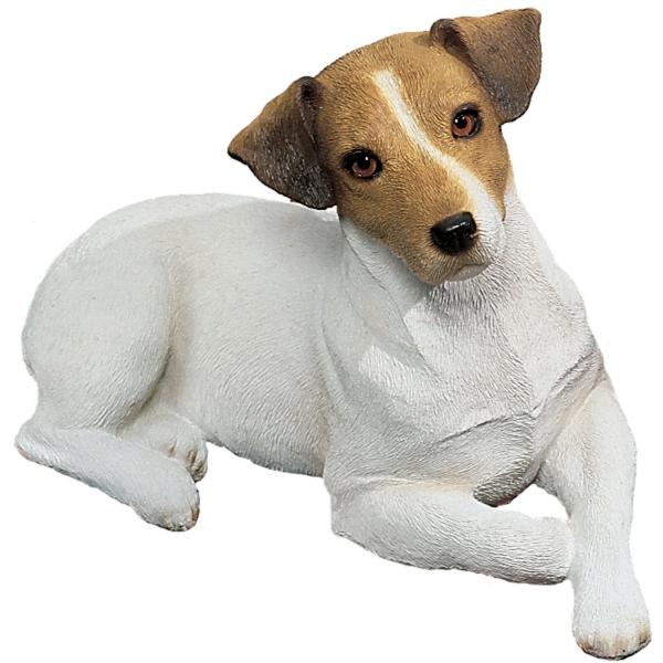 Jack Russell