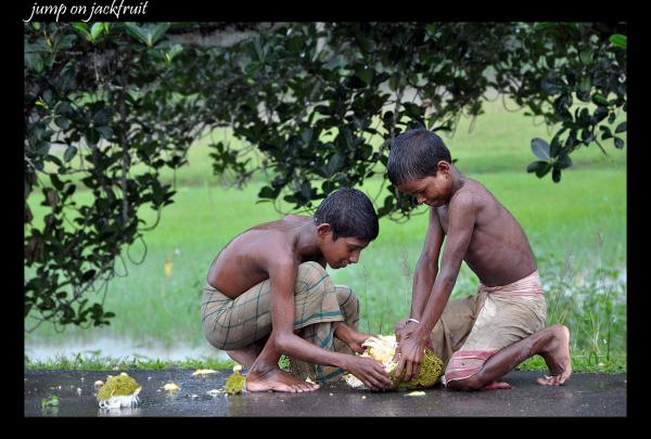 Jackfruit lovers!