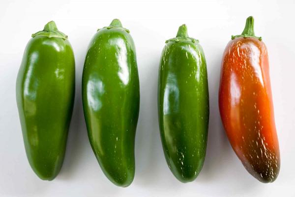 Jalepenos