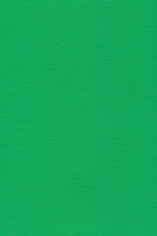 Japanese Linen Paper - Green