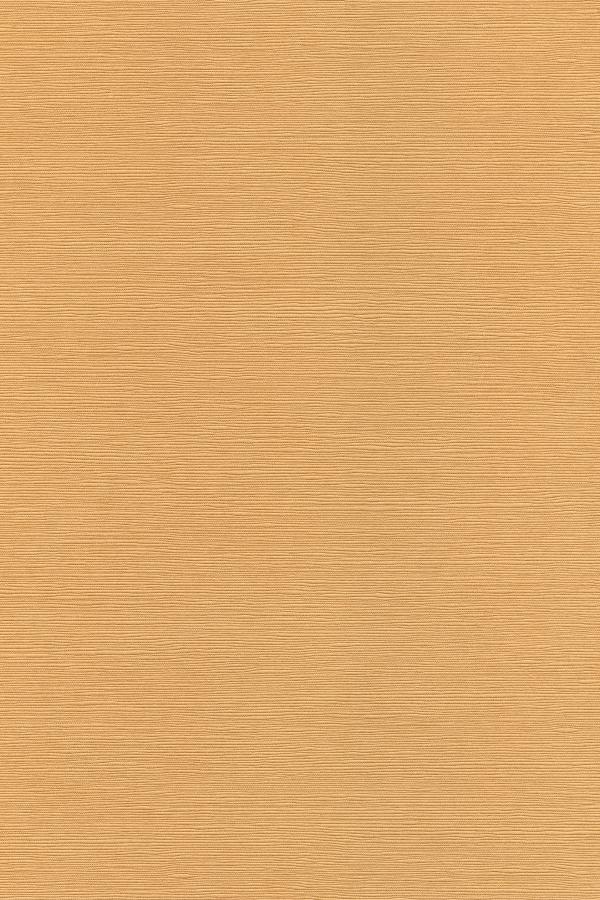 Japanese Linen Paper - Tan Beige