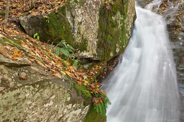 Jones Run Highway Stream - HDR