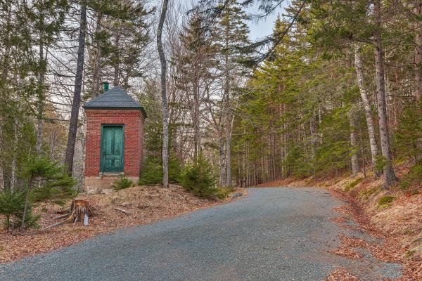 Jordan Pond Forest Trail - HDR