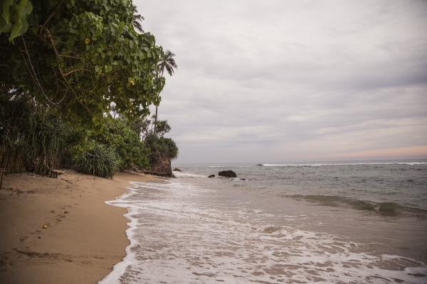 Jungle beach Sri Lanka