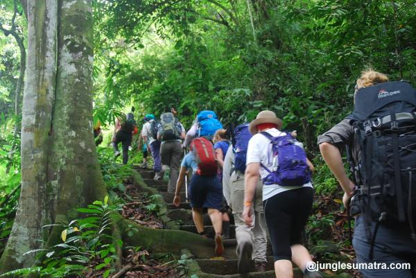 Jungle trekking