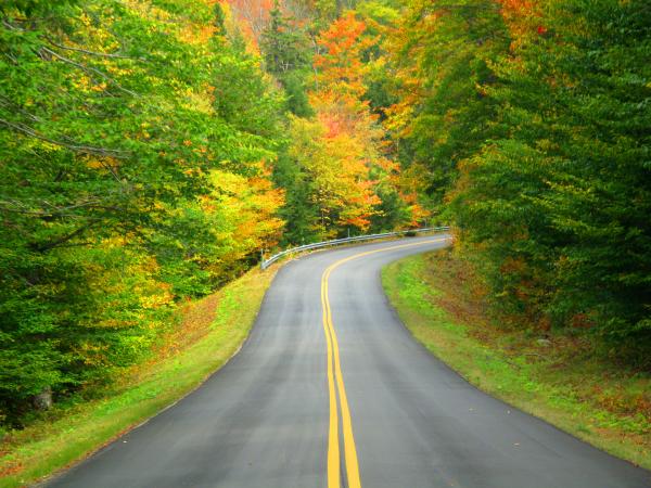 Kangamagus Highway