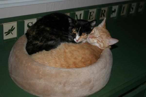 Kennedy and Galveston Sleeping Together