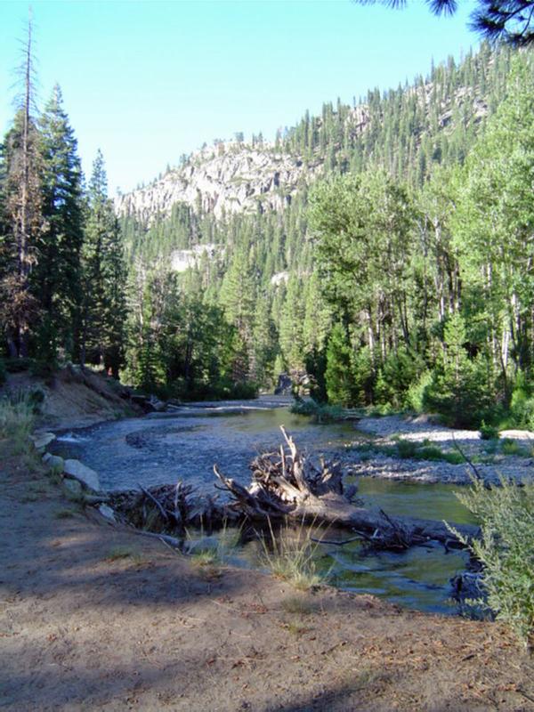 Kennedy meadow