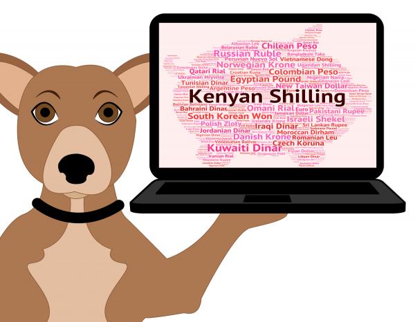 Kenyan Shilling Represents Exchange Rate And Coin