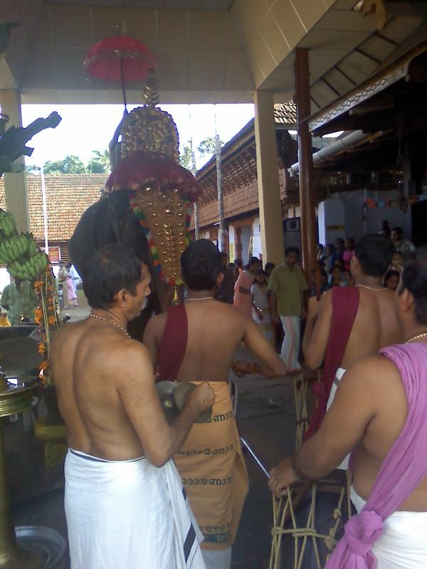 Kerala natives