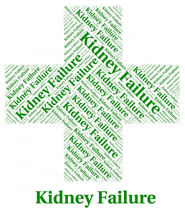 Kidney Failure Shows Lack Of Success And Affliction