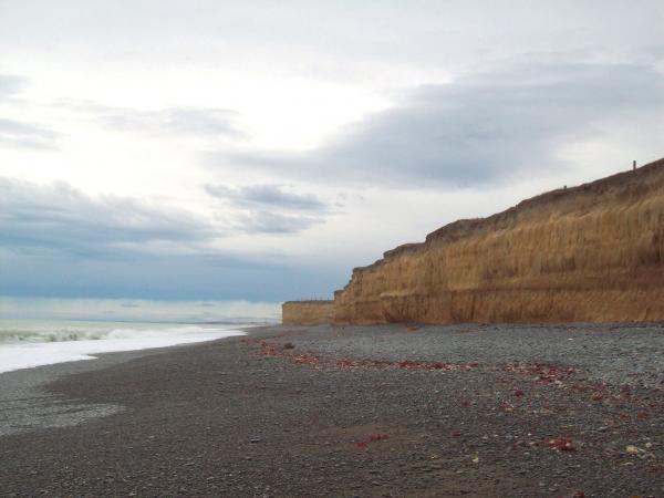 Kingsdown sea escarpment - Canterbury NZ