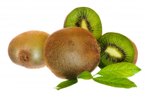 Kiwi