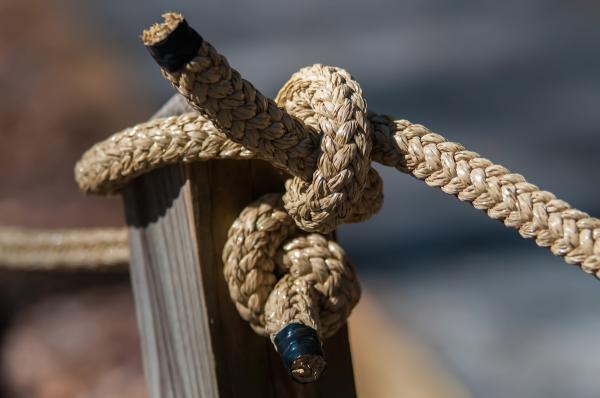 Knot
