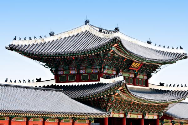 Korean Roof Top