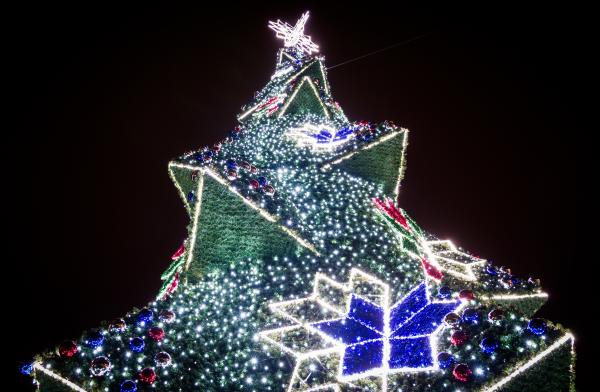 Krakow Main Market Christmas Tree, Poland