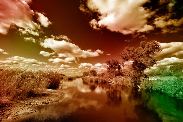 Kruger Park Landscape - PhantasmaChrome