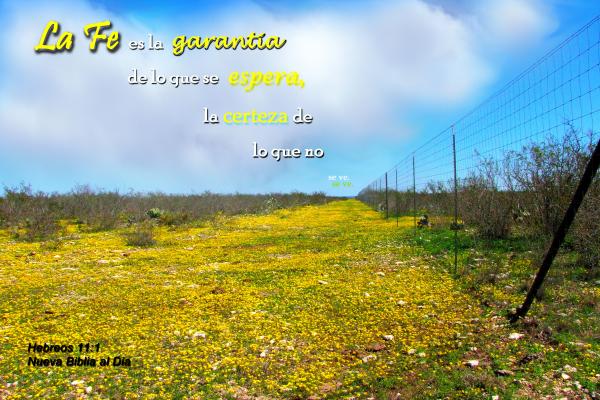 La Fe is la Garantia