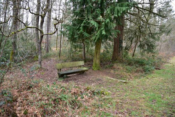 La Vallée Brune (voir l'itinéraire sur : http://ansozour.free.fr/Enbalade.html)