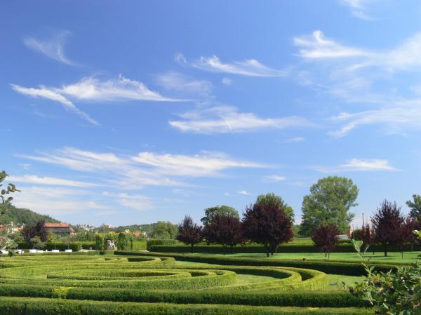 Labyrinth gardens