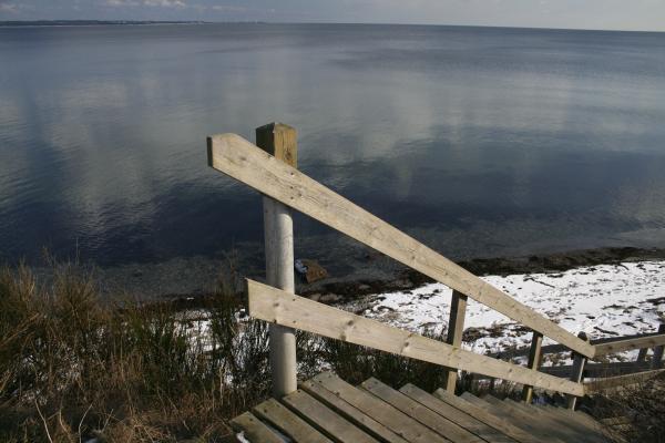 Ladder to the beach