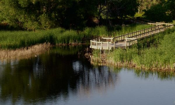 Lake