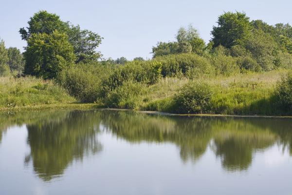 lake