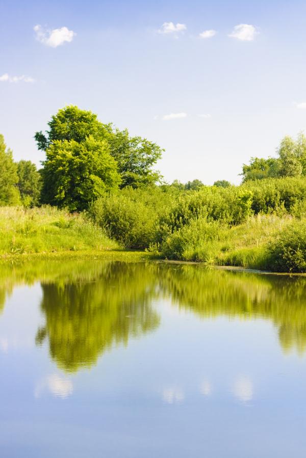 lake
