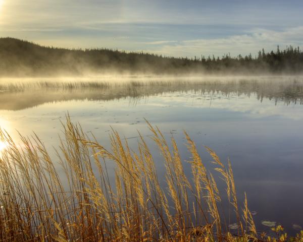 Lake
