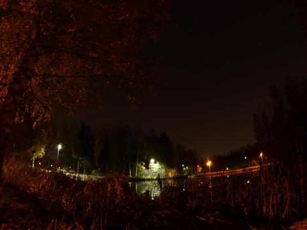 Lake at night