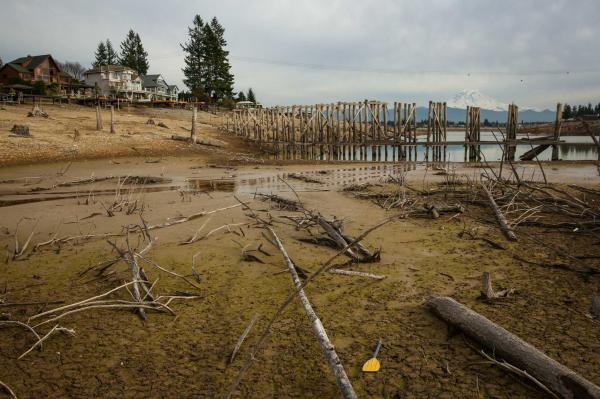 Lake Bottom Revealed