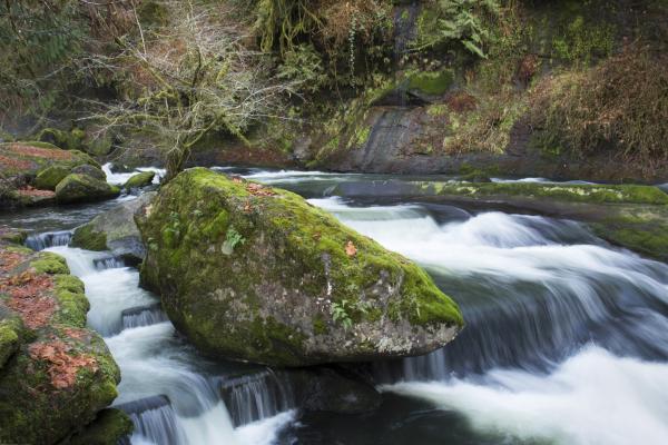 Lake Creek slide rocks, Oregon