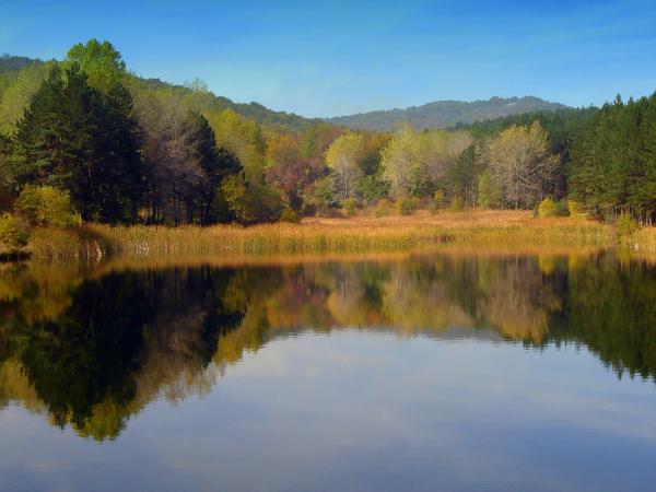 Lake in autumn