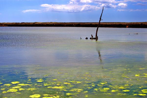Lake in Quinta do Lago