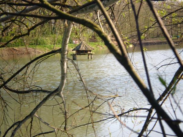 Lake in the Silent Garden